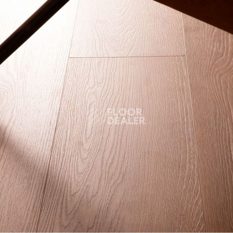 Vinilpol Glue 2мм 8866 EIR ДУБ ШЕРА фото 2 | FLOORDEALER