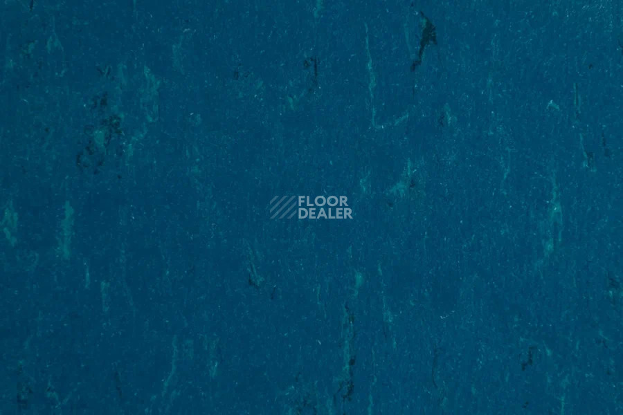 Forbo Marmoleum Solid Piano 3652-365235 Atlantic blue фото 2 | FLOORDEALER
