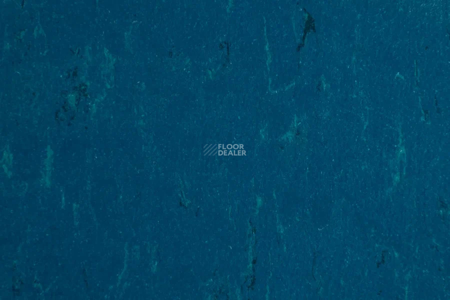Forbo Marmoleum Solid Piano 3652-365235 Atlantic blue фото 2 | FLOORDEALER