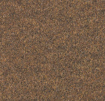 Ковролин Forbo Forte 96014 фото 1 | FLOORDEALER