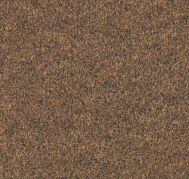 Ковролин Forbo Forte 96014 фото 1 | FLOORDEALER