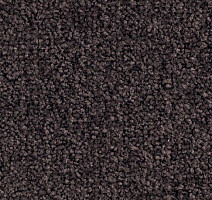 Ковровая плитка Balsan Bolero 790 фото 1 | FLOORDEALER