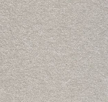 Ковролин AW Energy 90 фото 1 | FLOORDEALER