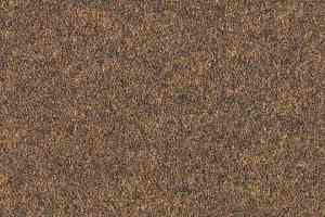 Ковролин Forbo Forte 96014 фото  | FLOORDEALER