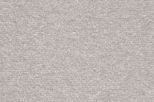 Ковролин AW Energy 90 фото  | FLOORDEALER