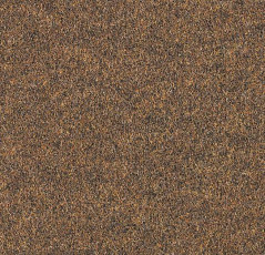 Ковролин Forbo Forte 96014 фото 1 | FLOORDEALER