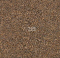 Ковролин Forbo Forte 96014 фото 1 | FLOORDEALER