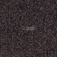Ковровая плитка Balsan Bolero 790 фото 1 | FLOORDEALER
