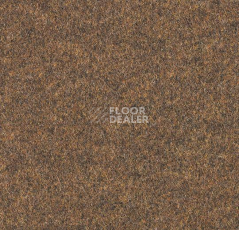 Ковролин Forbo Forte 96014 фото 1 | FLOORDEALER