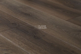 Ламинат Kronopol Aurum Vision 3330 Desert Tree фото 1 | FLOORDEALER