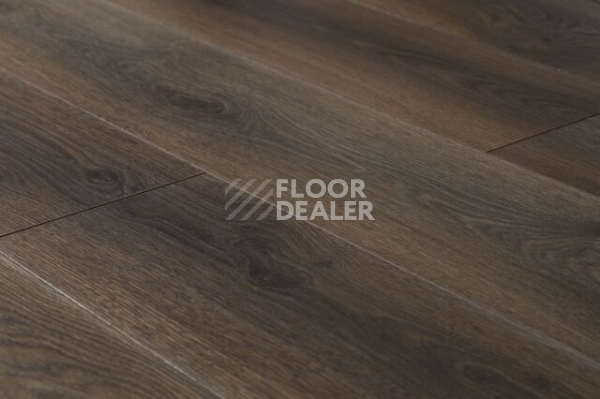 Ламинат Kronopol Aurum Vision 3330 Desert Tree фото 1 | FLOORDEALER