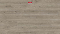 Haro Tritty 100 4V Дуб Флавия Серый 544702 фото 2 | FLOORDEALER