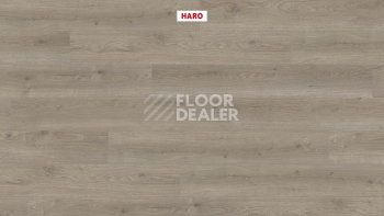 Haro Tritty 100 4V Дуб Флавия Серый 544702 фото 2 | FLOORDEALER