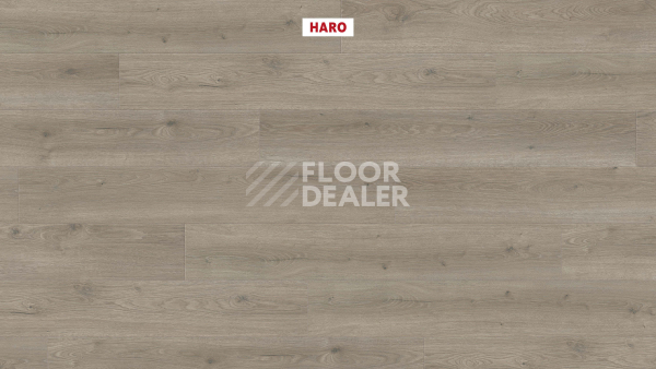 Ламинат Haro Tritty 100 4V Дуб Флавия Серый 544702 фото 2 | FLOORDEALER