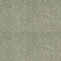 Ковролин Sintelon Sensa 53168 фото 1 | FLOORDEALER