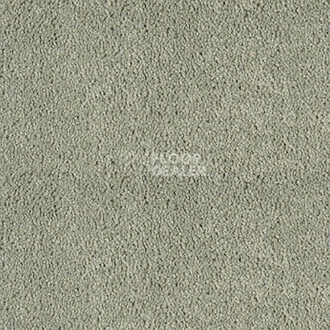 Ковролин Sintelon Sensa 53168 фото 1 | FLOORDEALER