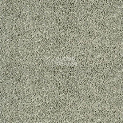 Ковролин Sintelon Sensa 53168 фото 1 | FLOORDEALER
