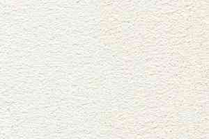 Ковролин Balta Coral Reef Coral Reef 0600 фото  | FLOORDEALER