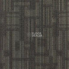 Ковровая плитка Shaw Transparent 62505 фото 1 | FLOORDEALER