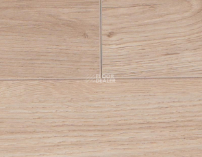 Rooms Suite 191 / 8мм Дуб Луксор платиновый RV821A фото 3 | FLOORDEALER