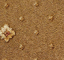 Ковролин Condor Carpets Asia 419 фото 1 | FLOORDEALER
