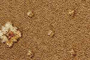 Ковролин Condor Carpets Asia 419 фото  | FLOORDEALER