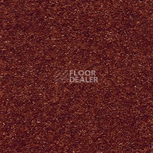 Ковролин AW Trillion 84 фото 1 | FLOORDEALER