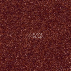 Ковролин AW Trillion 84 фото 1 | FLOORDEALER