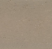 Линолеум Colorette 0043 Light Mud фото 1 | FLOORDEALER