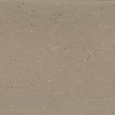 Линолеум Colorette 0043 Light Mud фото 1 | FLOORDEALER