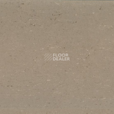 Линолеум Colorette 0043 Light Mud фото 1 | FLOORDEALER