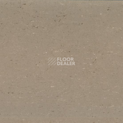 Линолеум Colorette 0043 Light Mud фото 1 | FLOORDEALER