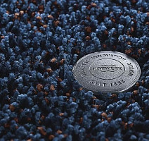 Ковролин Vorwerk Superior 1041 Vorwerk 3p94 фото 1 | FLOORDEALER