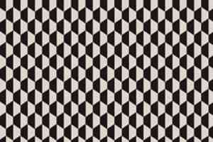 Ковролин Halbmond Black & White 13927 фото  | FLOORDEALER