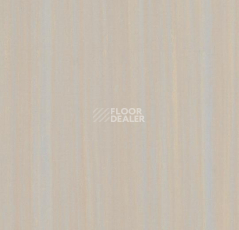 Линолеум Forbo Marmoleum Неожиданная природа 3572 фото 1 | FLOORDEALER