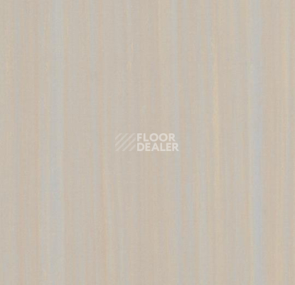 Линолеум Forbo Marmoleum Неожиданная природа 3572 фото 1 | FLOORDEALER