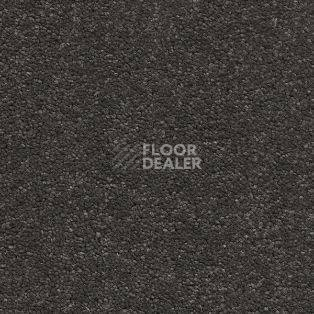 Ковролин AW Vivendi Vibes 95 фото 1 | FLOORDEALER