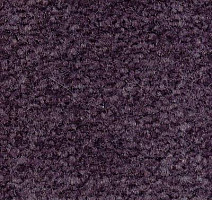 Ковролин Emphatic Beaulieu of America 56465 фото 1 | FLOORDEALER