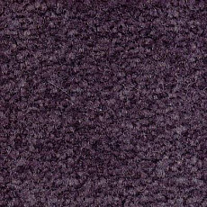 Ковролин Emphatic Beaulieu of America 56465 фото 1 | FLOORDEALER