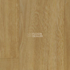 Линолеум Graboflex Start 4181-651-279 фото 1 | FLOORDEALER