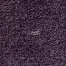 Ковролин Emphatic Beaulieu of America 56465 фото 1 | FLOORDEALER