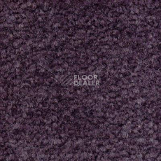 Ковролин Emphatic Beaulieu of America 56465 фото 1 | FLOORDEALER