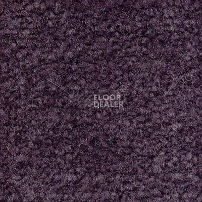 Ковролин Emphatic Beaulieu of America 56465 фото 1 | FLOORDEALER