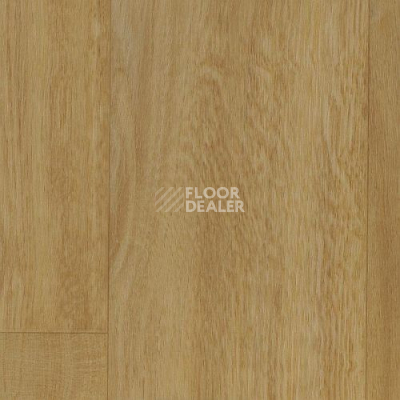 Линолеум Graboflex Start 4181-651-279 фото 1 | FLOORDEALER