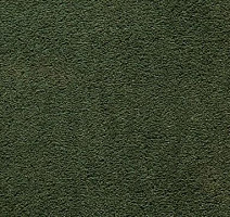 Ковролин In-Tense 26 фото 1 | FLOORDEALER