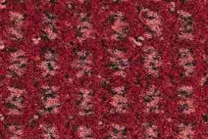 Ковролин Balsan Littoral Littoral 550 фото  | FLOORDEALER