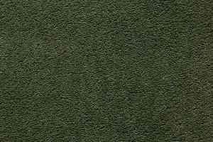 Ковролин In-Tense 26 фото  | FLOORDEALER