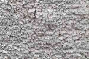 Ковролин Condor Carpets Bentley Bentley 305 фото  | FLOORDEALER