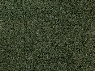 Ковролин In-Tense 26 фото 1 | FLOORDEALER