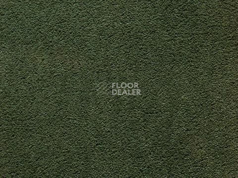 Ковролин In-Tense 26 фото 1 | FLOORDEALER